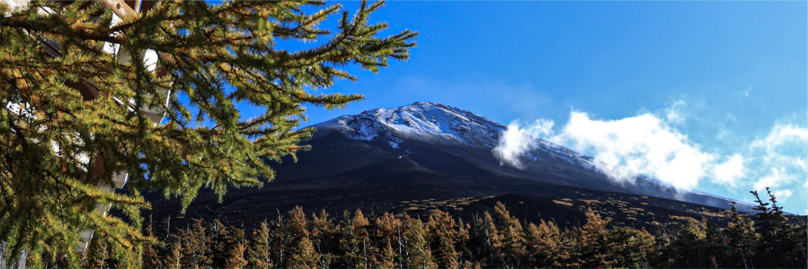 MT.FUJI & HAKONE TOUR