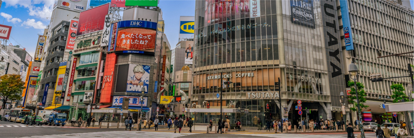 Tokyo Private Walking Tour