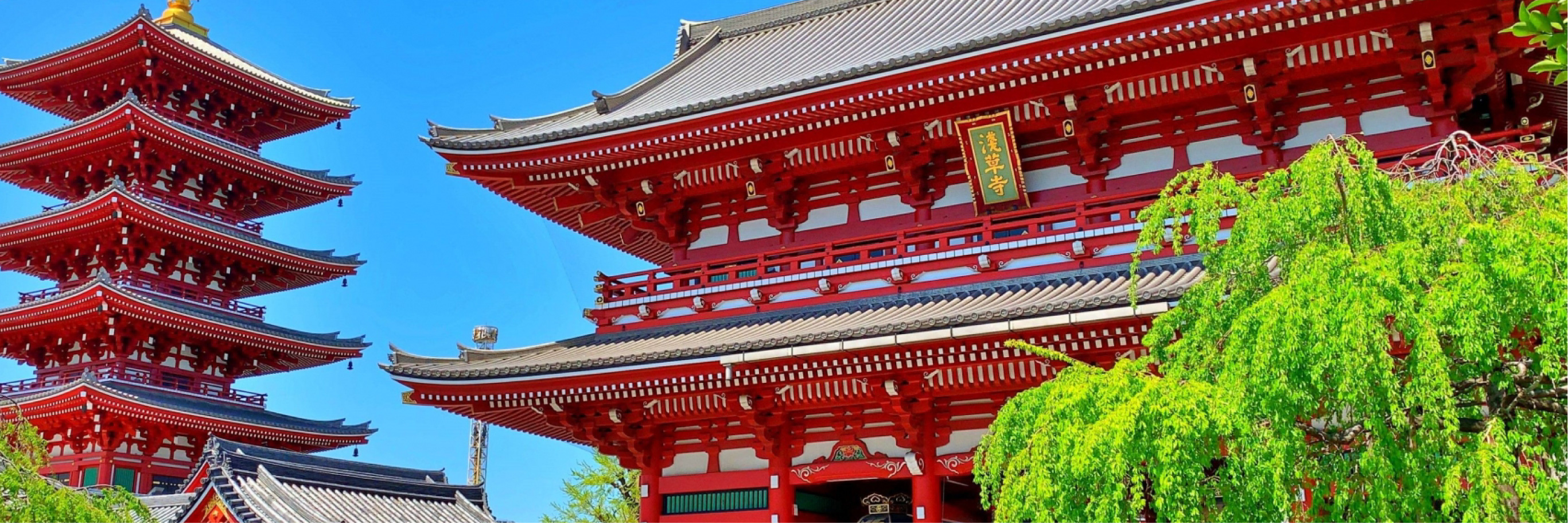 TOKYO TOUR