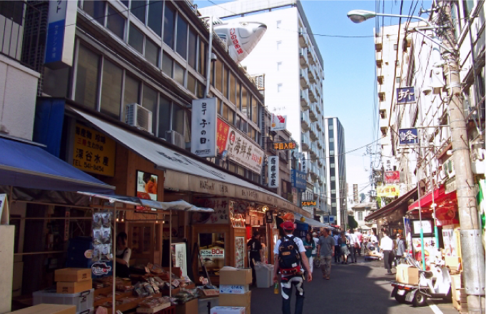 JAPAN HOLIDAY TOURS
